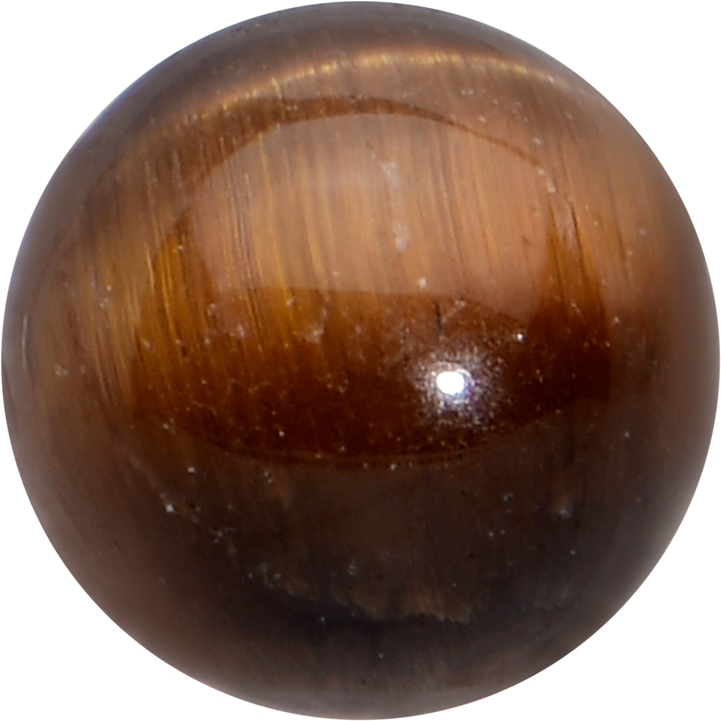 16G 5/16 Elegant Brown Tiger Eye Internal Threaded Labret Tragus