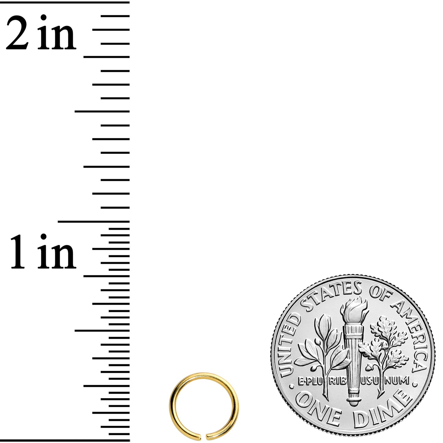 20G 1/4 Gold Tone PVD Grade 23 Titanium Bendable Hoop Ring