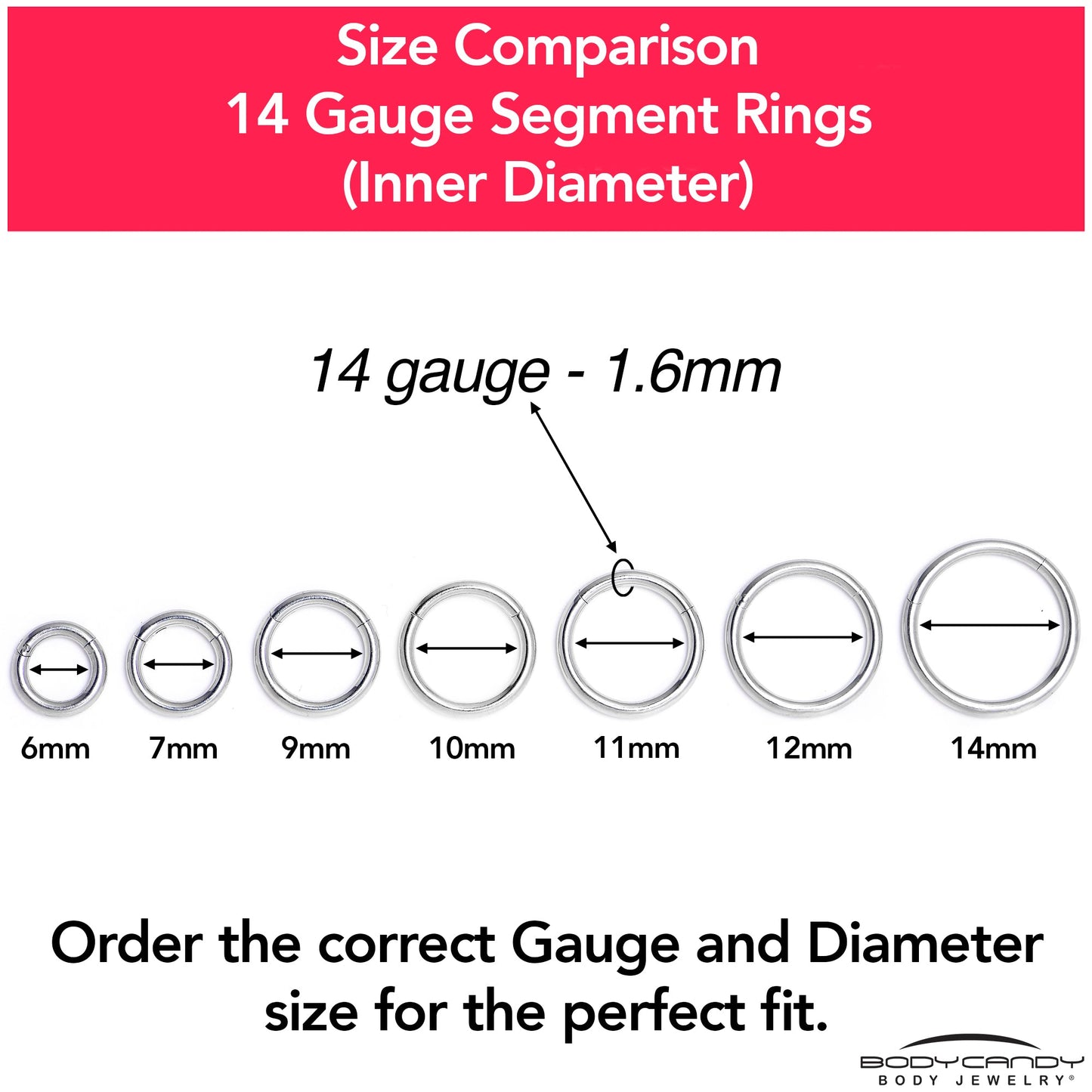 14G 9/16 316L Surgical Steel Precision Hinged Segment Hoop