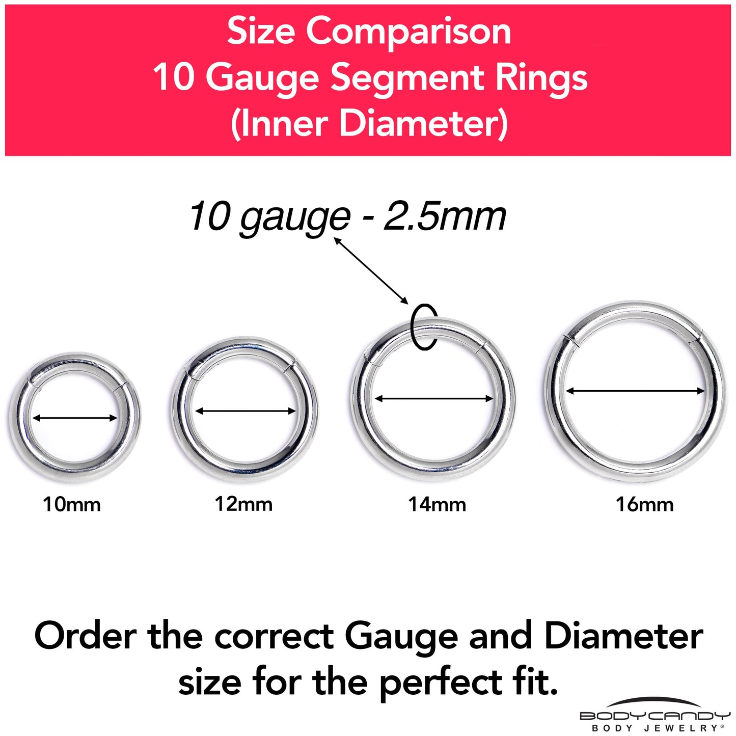 10G 3/8 316L Surgical Steel Precision Hinged Segment Hoop